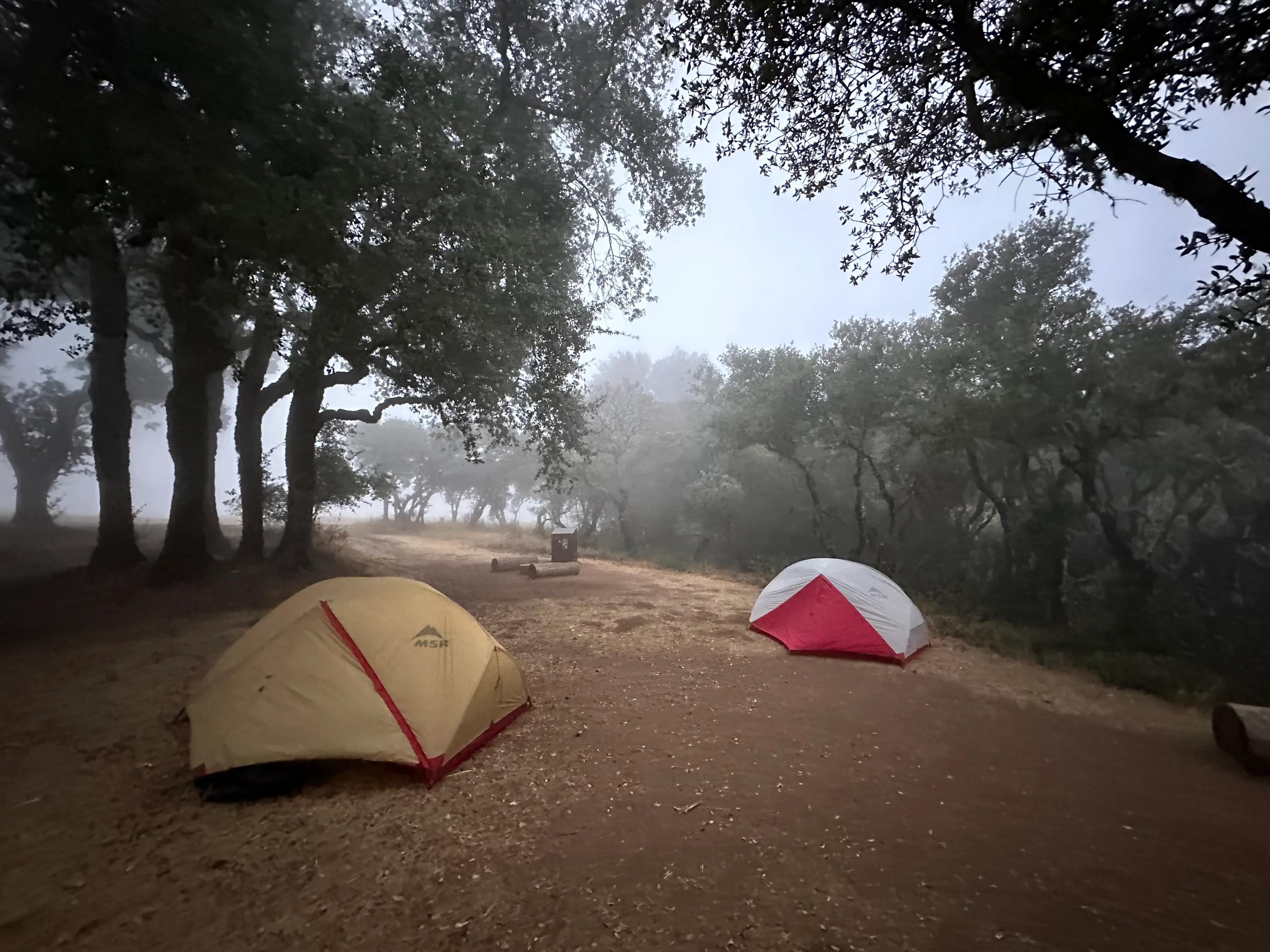 Campsite with tent