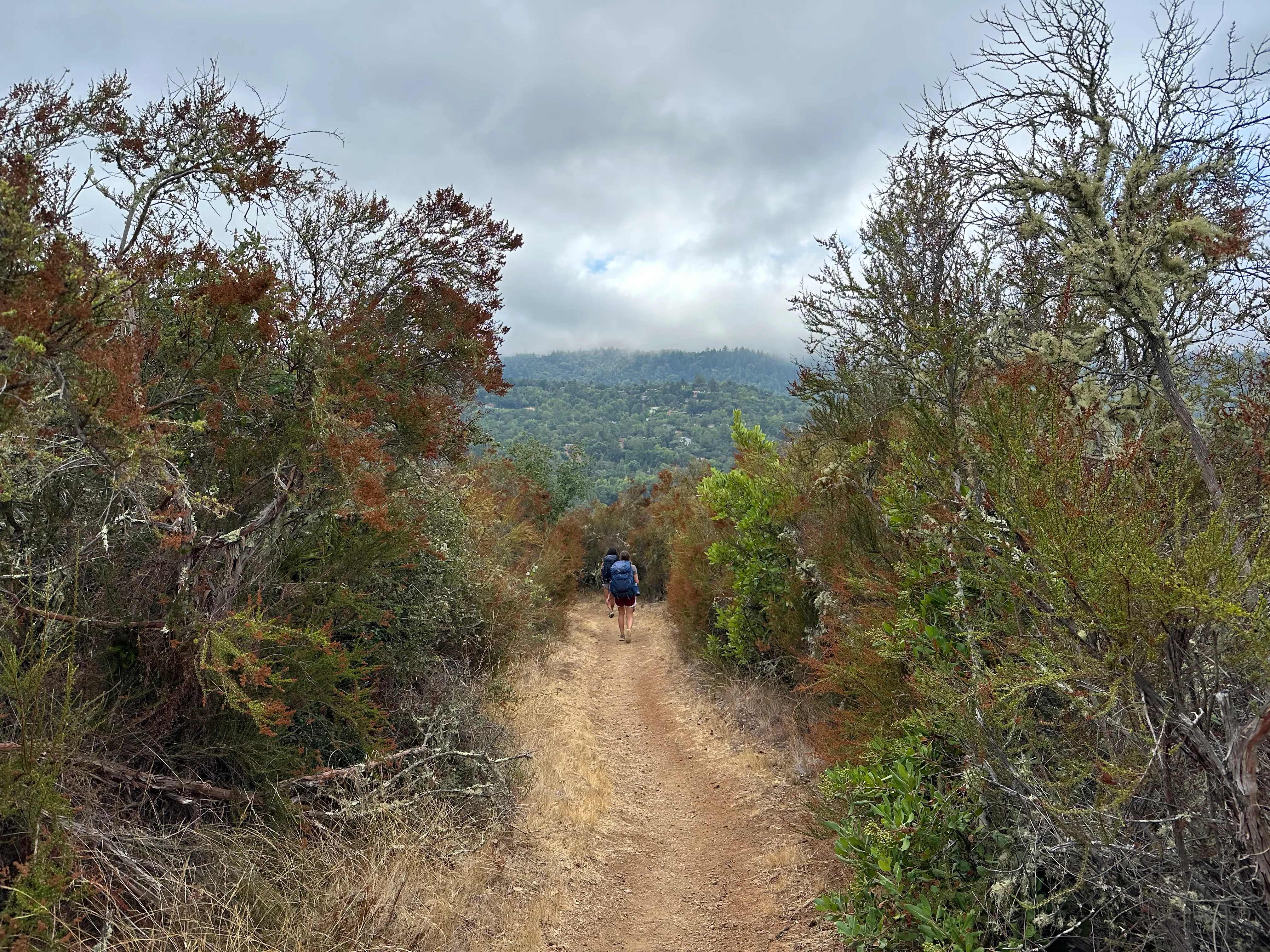 Foothills hike