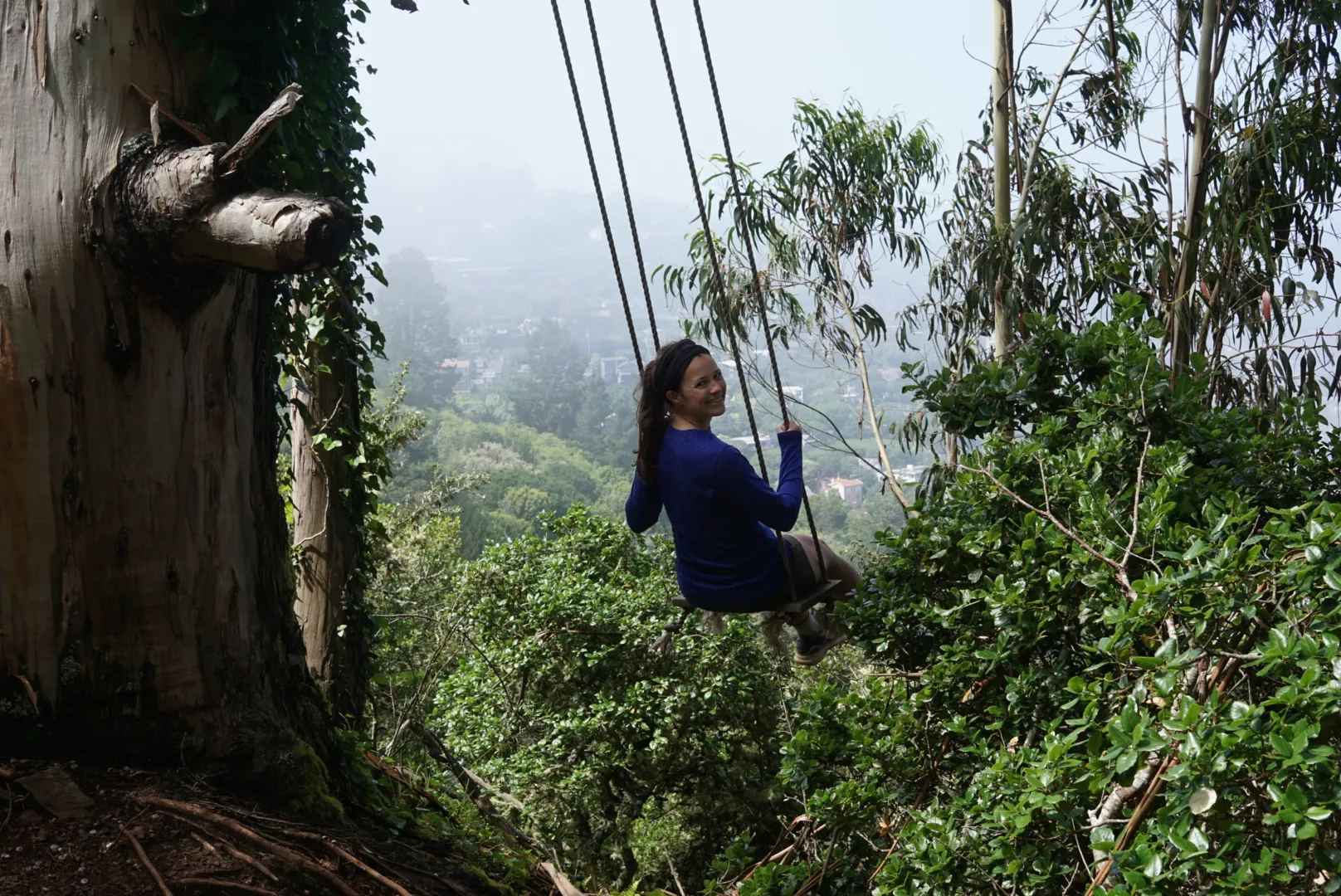 Sausalito swing