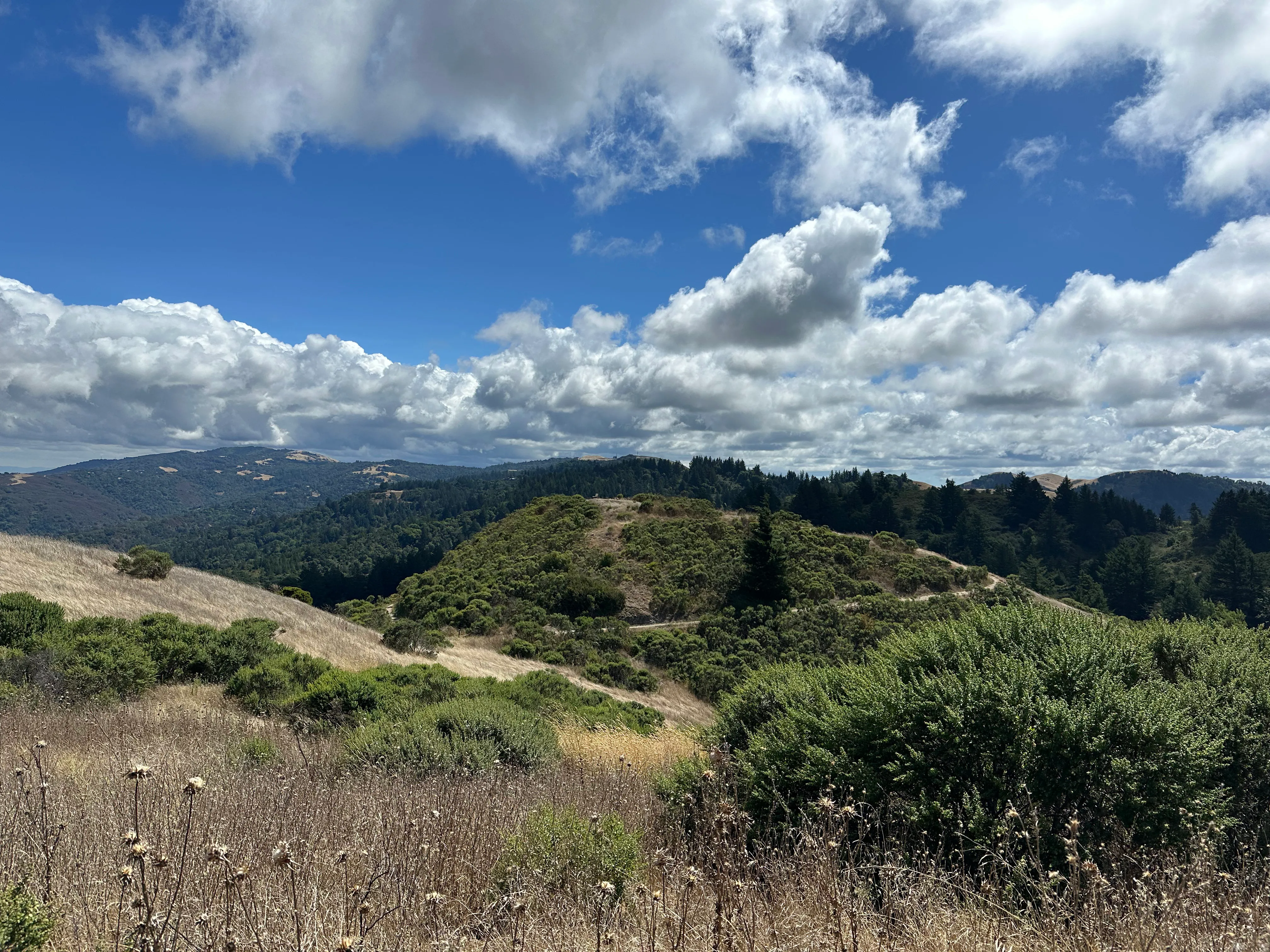 Monte Bello view