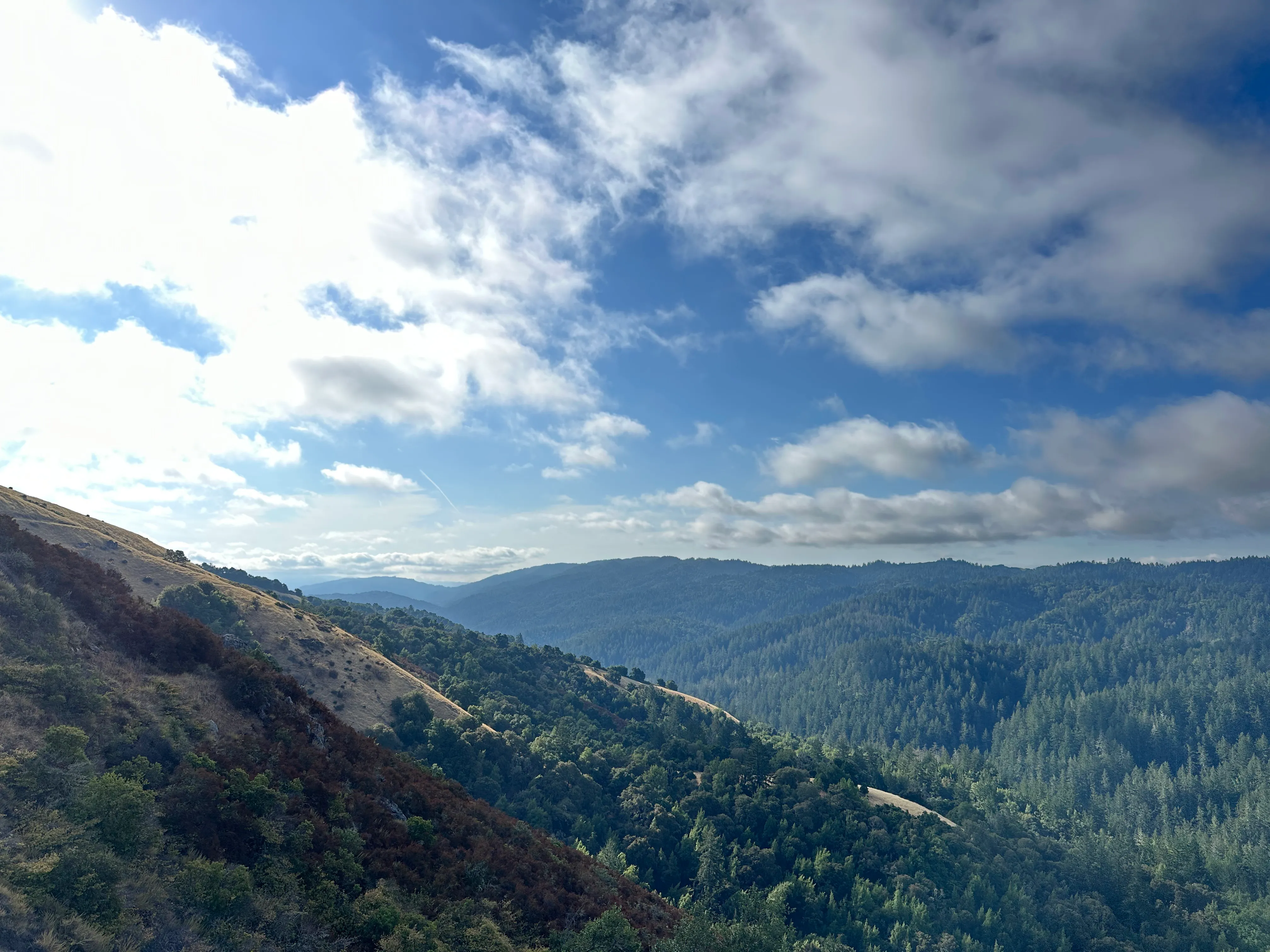 Monte Bello view #2